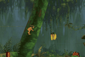 Disney's Tarzan 11