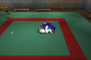 3D Judo Fighting 5