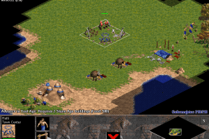 Age of Empires 9