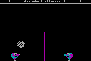 Arcade Volleyball 1