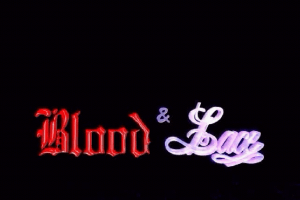 Blood & Lace: A Gothic Novel 0