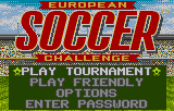 European Soccer Challenge abandonware