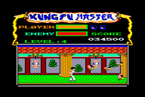 Kung-Fu Master 9