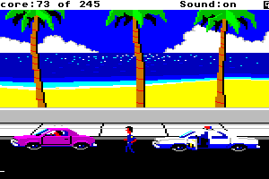Police Quest: In Pursuit of the Death Angel 24