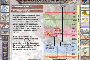 Prehistoric Animals abandonware