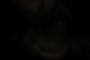 Slender: The Eight Pages 11