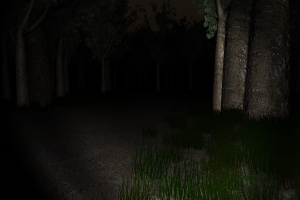 Slender: The Eight Pages 14