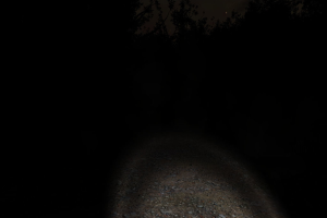 Slender: The Eight Pages 2