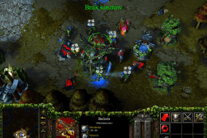 WarCraft III: Reign of Chaos 25