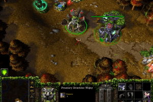 WarCraft III: Reign of Chaos 29
