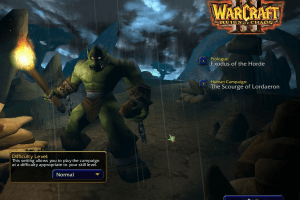 WarCraft III: Reign of Chaos 33