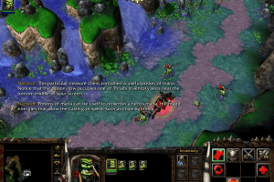 WarCraft III: Reign of Chaos 4