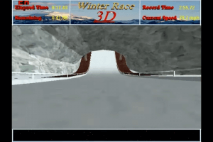 Winter Race 3D abandonware