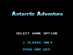 Antarctic Adventure 1