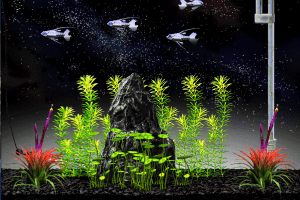 Aquazone Deluxe II with Guppies: Your Virtual Aquarium 7