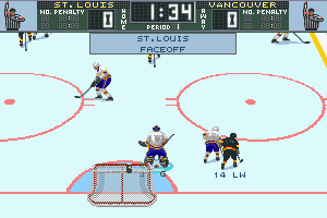 Brett Hull Hockey 95 3