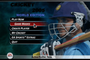 Cricket 2005 13