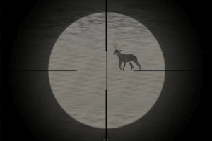 Deer Hunter 2003 25