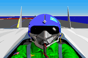 F-15 Strike Eagle II 6