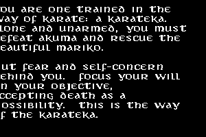 Karateka 2