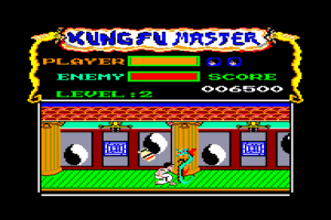 Kung-Fu Master abandonware