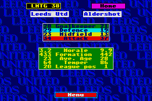 Leeds United Champions! 6