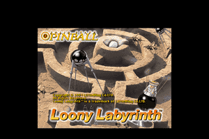 Loony Labyrinth abandonware