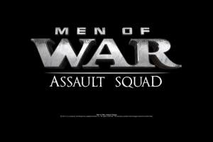 Men of War: Assault Squad 0