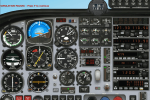 Microsoft Flight Simulator 2000: Professional Edition 21