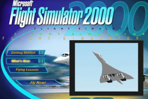 Microsoft Flight Simulator 2000: Professional Edition 3