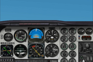 Microsoft Flight Simulator 2002: Professional Edition 5