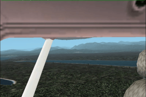 Microsoft Flight Simulator 2002 10