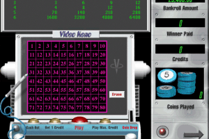 Play to Win Casino 6