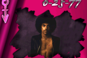 Prince Interactive 13
