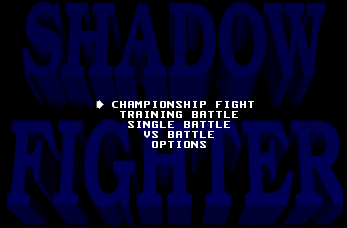 Shadow Fighter abandonware