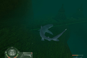 Shark! Hunting the Great White 6