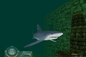 Shark! Hunting the Great White 7