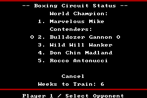 Star Rank Boxing II 5