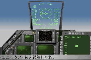 Strike Commander: CD-ROM Edition 11
