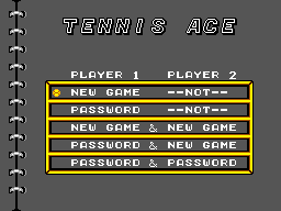 Tennis Ace 2