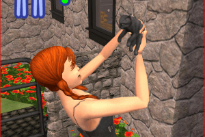 The Sims 2: Pets abandonware