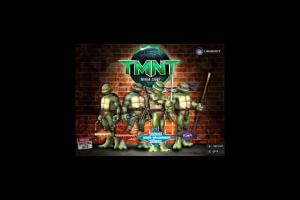 TMNT: Ninja Adventures Activity Centre 1