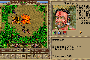 Worlds of Ultima: The Savage Empire 1