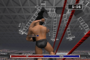 WWF Raw 5
